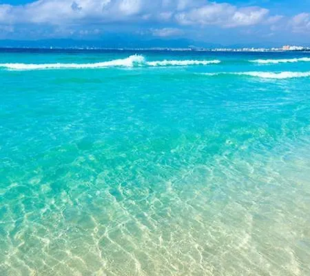 Gerret * קאן פיקפורט