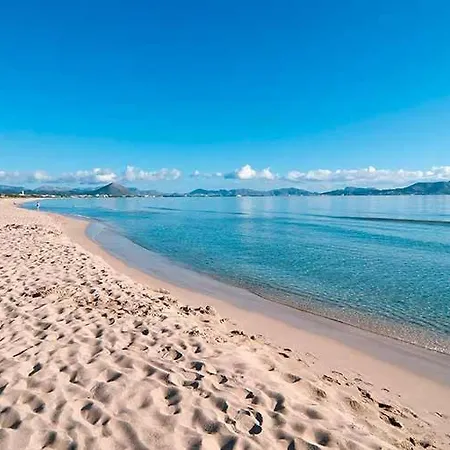 Gerret * 캔 피카폴트